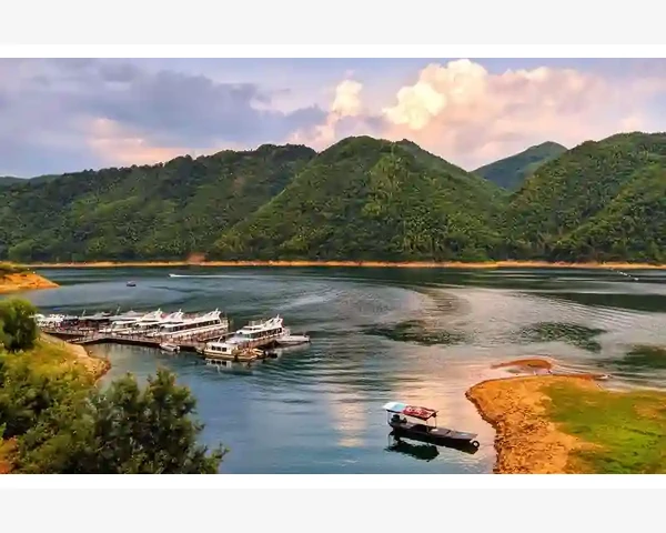 优质中医科普：探索补血蔬果的奥秘，健康生活从餐桌开始