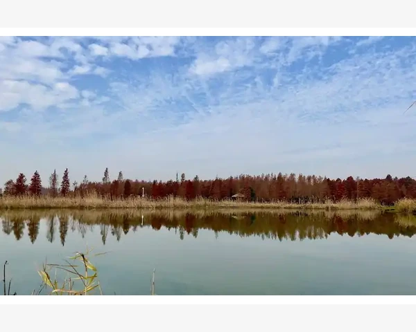 川贝枇杷糖浆：缓解痰湿的中医佳品
